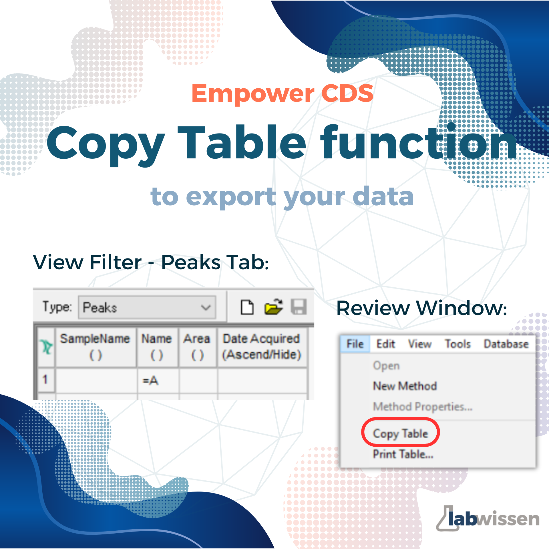 Copy Table Function to Export Data – LabWissen